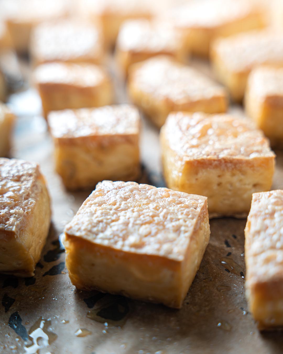 Easy-Bake-Tofu-Array-closeup