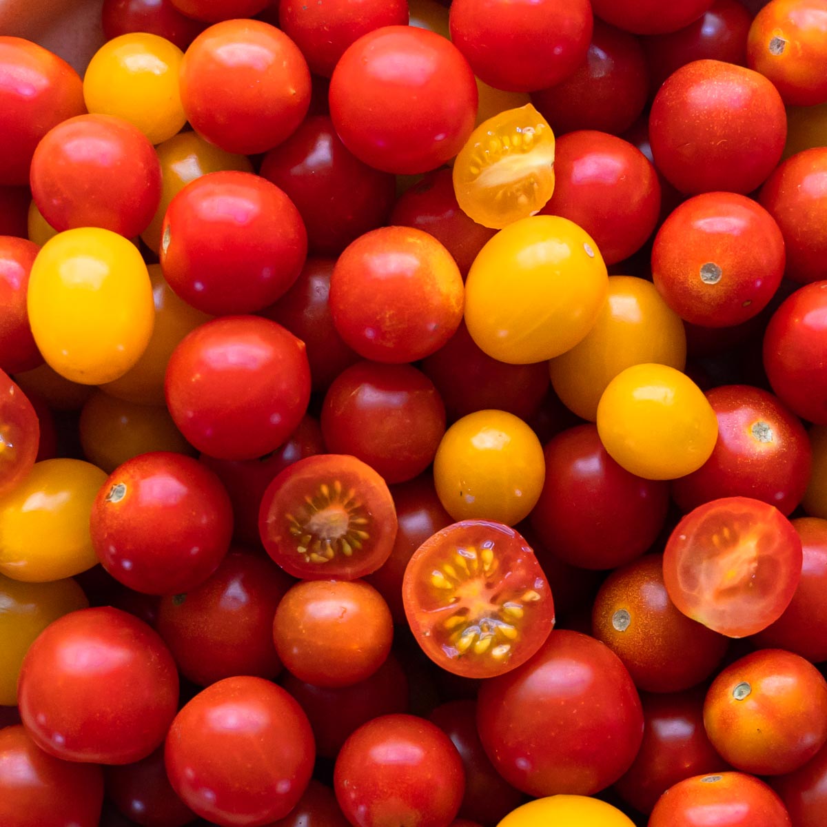 Top down of cherry tomatoes with yellow and red colors. Some of the tomatoes are sliced in half.
