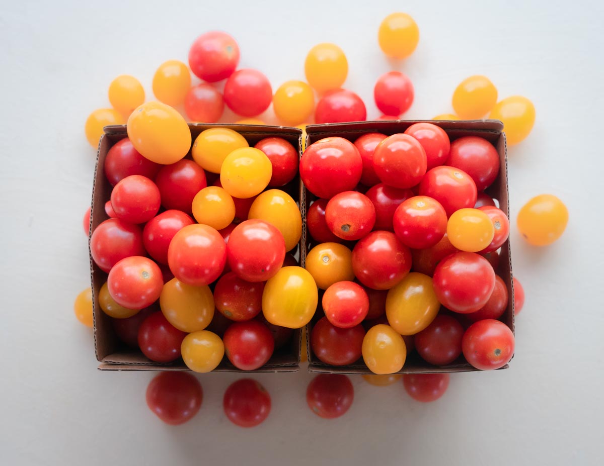 Cherry Tomatoes in two cardboard pint boxes. Two toned, red and yellow tomatoes.