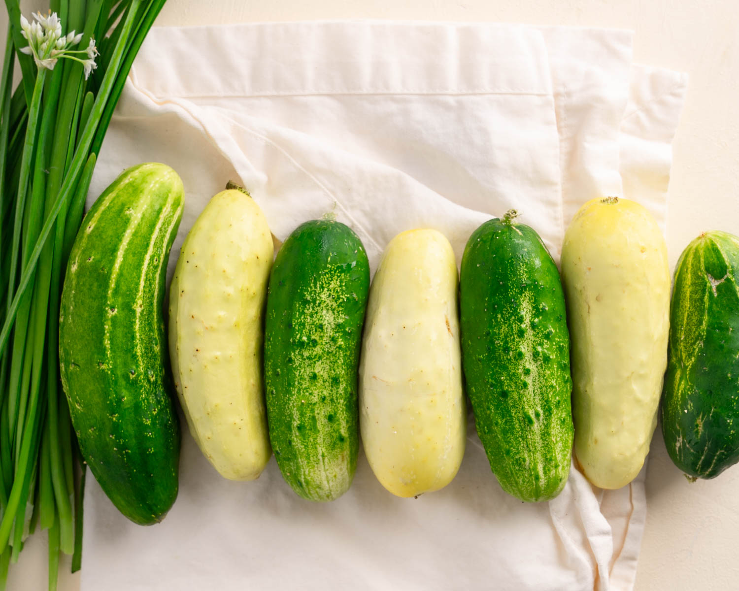 Pickling and Salt and Pepper Cucumbers lined up in a row over a off white linen napkin. 