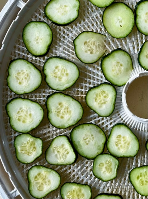 Sliced cucumbers in dehydrator before dehydration process. 