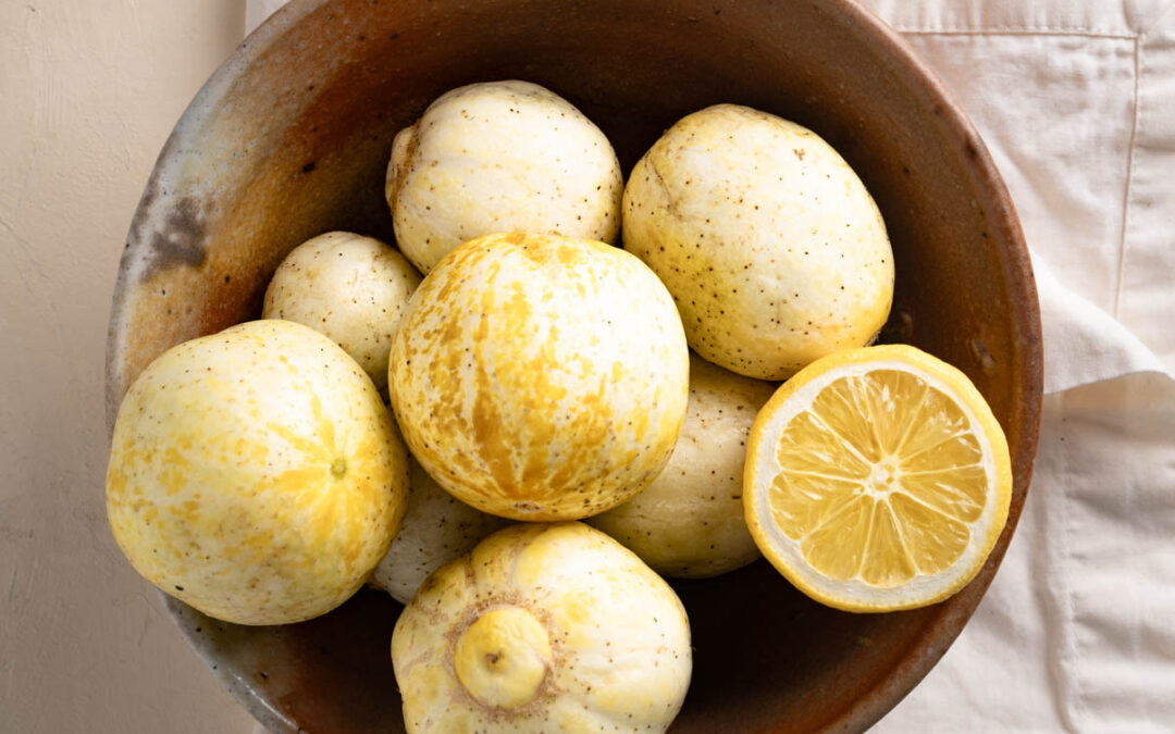 8 Must-Try Lemon Cucumber Recipes