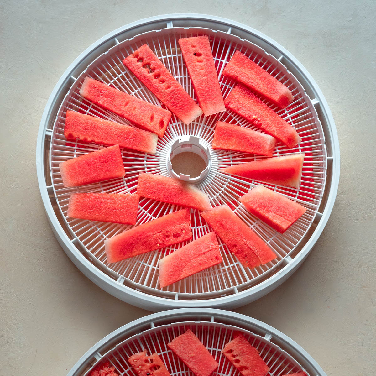 One tray of fresh watermelon about to be dehydrated