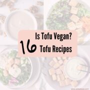 Is Tofu Vegan - 16 Tofu Recipe featured image with 4 tofu images transparent in the background.