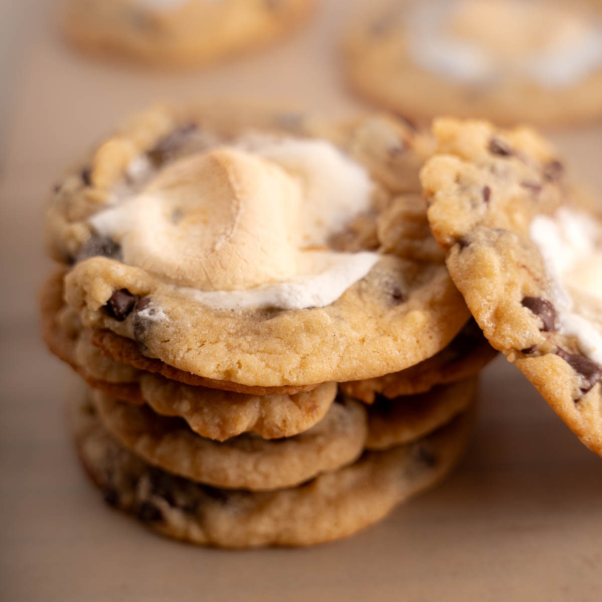 Stacked Chocolate Chip and Marshmallow Cookies at a 45 degree angle 