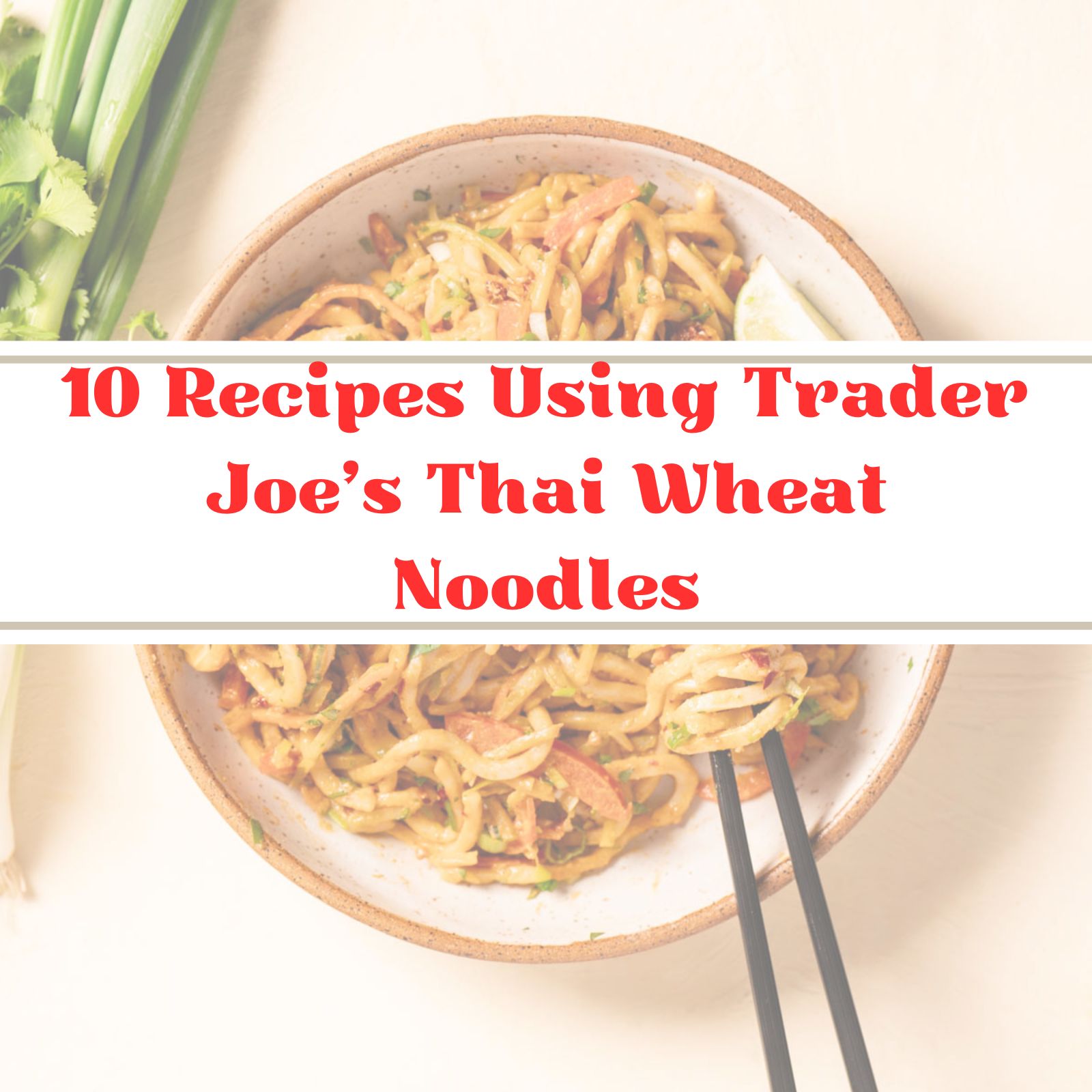 Text overlay over a bowl of noodles saying 1- recipes using trader joe's thai wheat noodles