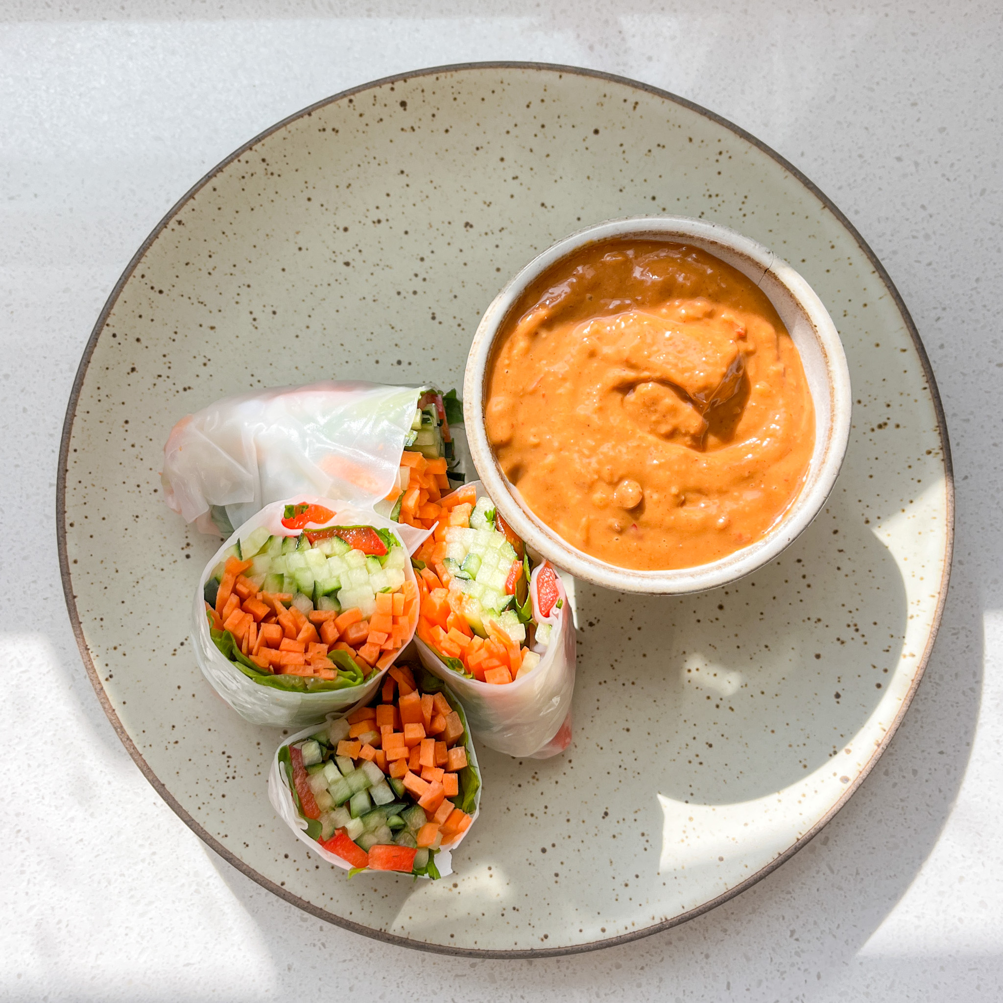 Vegetable packed Spring Rolls on a stoneware plate with a side of peanut sauce