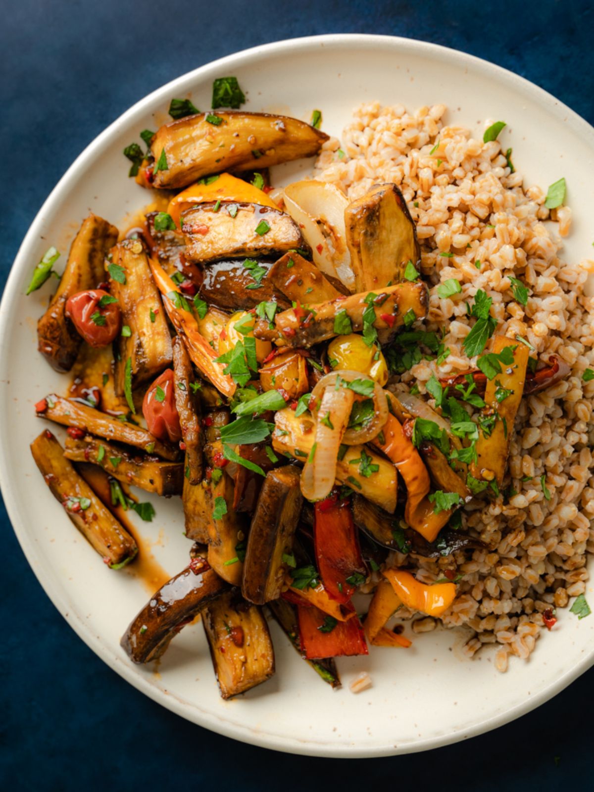 Vegan Roasted Eggplant Salad on a stoneware plate next to cooked grains on a dark bluw backdrop