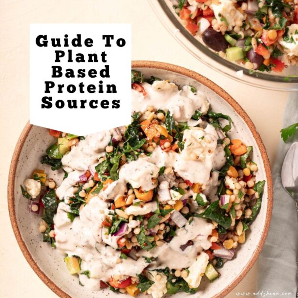 Guide to plant based protein sources text over lay on an image of a grain bowl with a creamy dressing