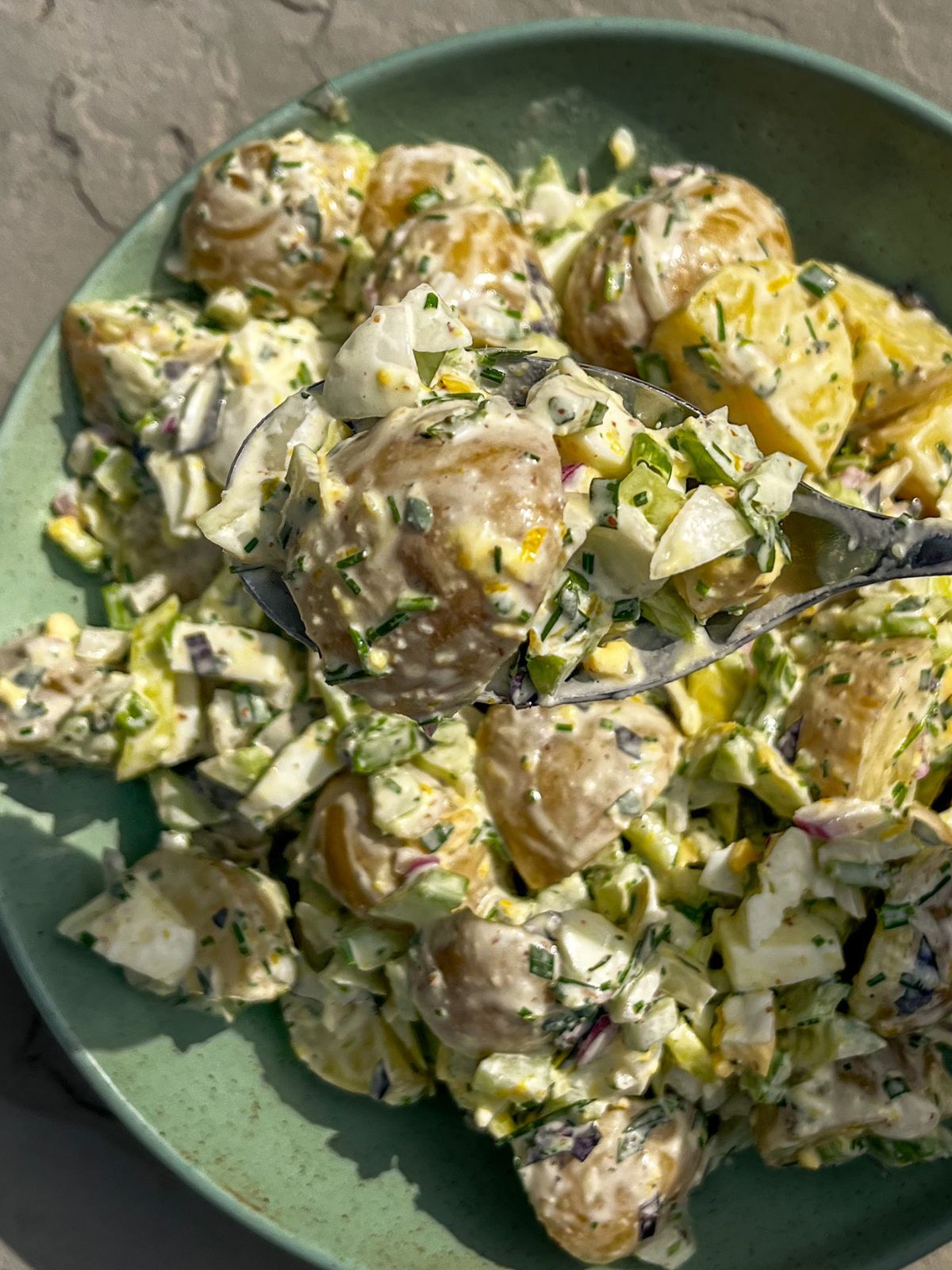 Fresh Herb Potato Salad with Lemon Yogurt Dressing | The Addy Bean